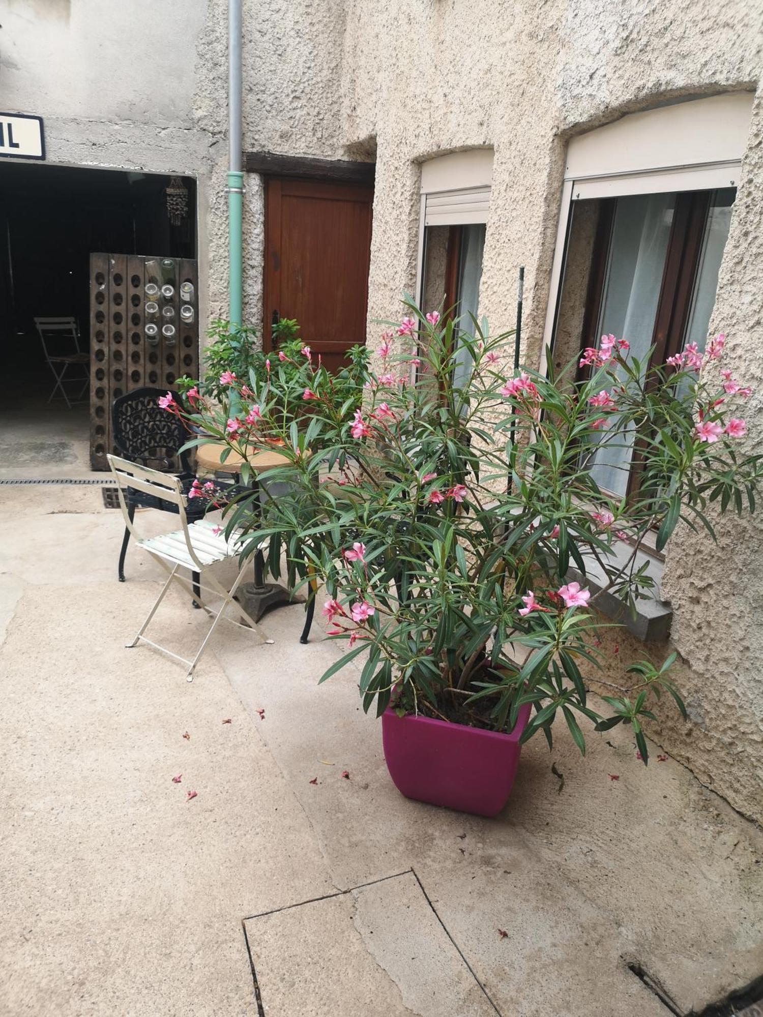 הוטווילר Cottage Au Terminus 2 Climatise מראה חיצוני תמונה